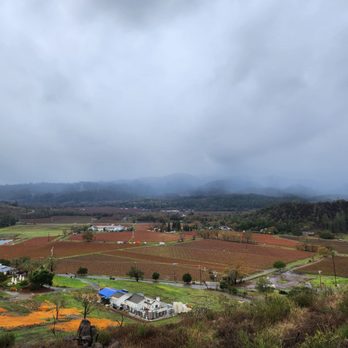 Reverie II - Wineries Near Me - Calistoga, California