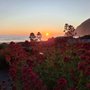 Photo of Manzanita Beach