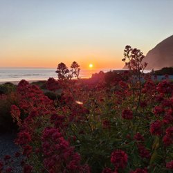 Manzanita Beach