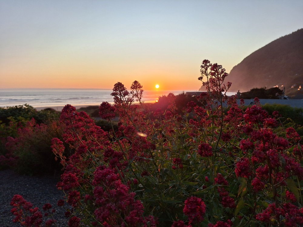 Manzanita Beach Logo