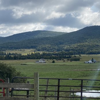 Mountain Trail Rides Horseback Riding & More - Horseback Riding Near Me - Davis, West Virginia