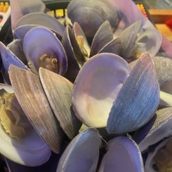 Capt E's Hurricane Grill & Bar - Get the clams, I almost forgot I was supposed to be sharing them!