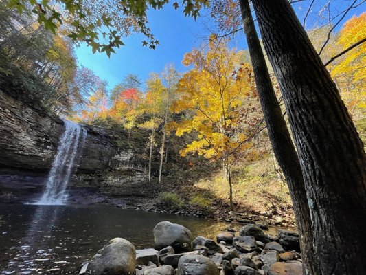 Cloudland Canyon State Park by null