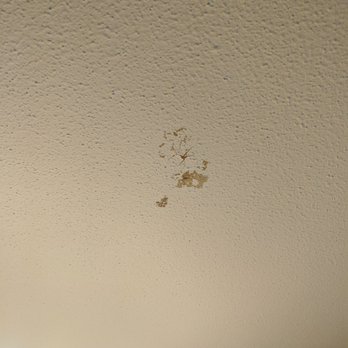 Indian Head Resort - Fresh wet stain above our sleeping heads. - Resorts Near Me - Lincoln, New Hampshire Indian Head Resort - Fresh wet stain above our sleeping heads. - Resorts Near Me - Lincoln, New Hampshire