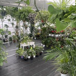 GonZo's family Greenery