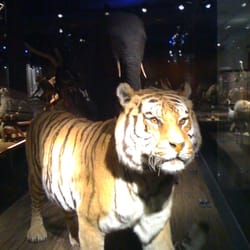 Musée d'histoire naturelle de Fribourg