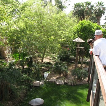 Phoenix Zoo - Monkey Village - Zoos Near Me - Phoenix, Arizona Phoenix Zoo - Monkey Village - Zoos Near Me - Phoenix, Arizona