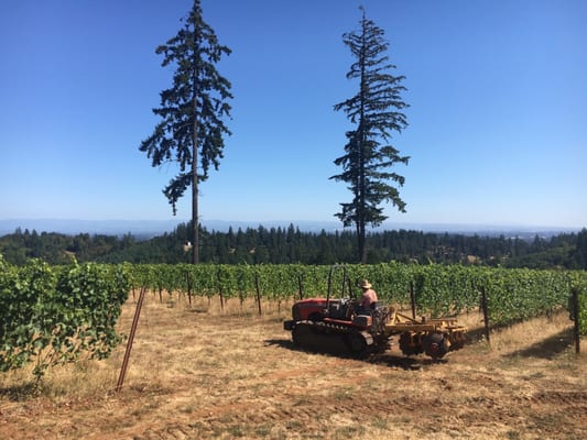 J.K. Carriere - Wine Tastings, Appointment or Walk In by null