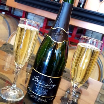 Big Dog Vineyards - This one was so good! Blanc De Blancs. Sparkling wine. Have fun! - Venues & Event Spaces Near Me - Milpitas, California
