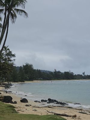 Punaluʻu Beach by null
