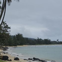 Punaluu Beach Park - 11-4-24. Scenic View