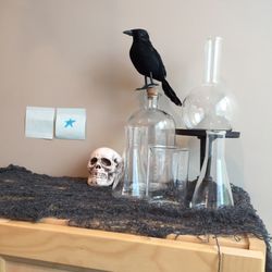 Outpatient Physical Therapy - One of the decorations in the room