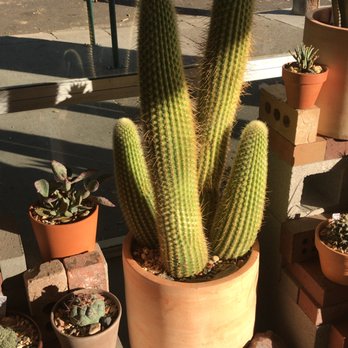 Public Land Store - Nurseries & Gardening Near Me - Sacramento, California Public Land Store - Nurseries & Gardening Near Me - Sacramento, California
