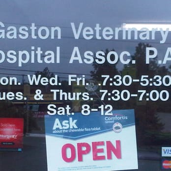 Gaston Veterinary Hospital & Carolina Cat Clinic - Veterinarians Near Me - Gastonia, North Carolina Gaston Veterinary Hospital & Carolina Cat Clinic - Veterinarians Near Me - Gastonia, North Carolina