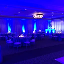 Electric Entertainment decorations and lighting Electric Entertainment decorations and lighting
