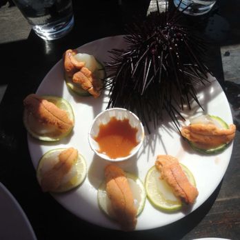 Santa Barbara Shellfish Company - Uni scallop - Seafood Near Me - Santa Barbara, California Santa Barbara Shellfish Company - Uni scallop - Seafood Near Me - Santa Barbara, California