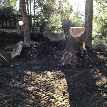 Stump Be Gone - Large stump before - Tree Services Near Me - New City, New York Stump Be Gone - Large stump before - Tree Services Near Me - New City, New York