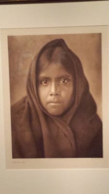 Arizona State Museum by null