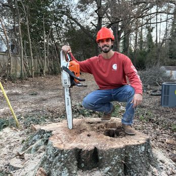 Webb Bro’s - Tree Services Near Me