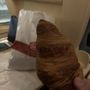 Brioche Dorée