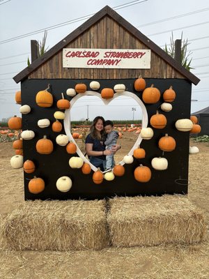 Carlsbad Strawberry Company by null