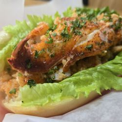 International Lobster Rolls - Look @ that Connecticut