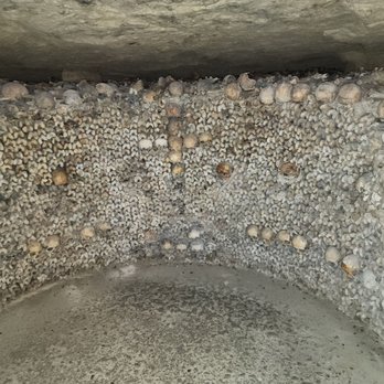 Les Catacombes de Paris - Local Flavor Near Me - Paris, 75 Les Catacombes de Paris - Local Flavor Near Me - Paris, 75