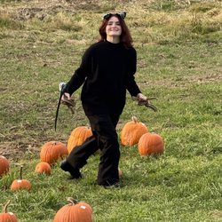 Schuyler Farms - Pumpkin patch