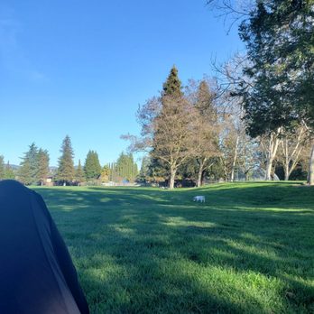 Athan Downs Park - Parks Near Me - San Ramon, California Athan Downs Park - Parks Near Me - San Ramon, California