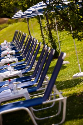 Imperial Riding School, Autograph Collection by null