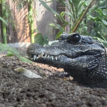 Toronto Zoo - Zoos Near Me - Toronto, Ontario