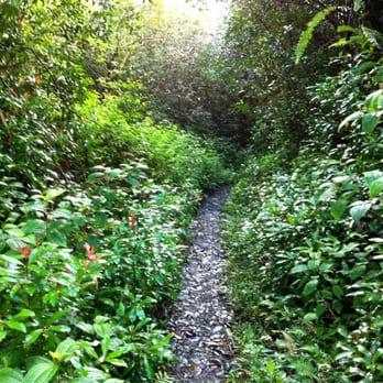 Okolehao Trail - Okolehao Trail near Hanalei, Kauai (courtesy of TRAILSOURCE.COM) - Hiking Near Me - Hanalei, Hawaii