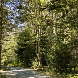 Oceanfront Camping at Reach Knolls