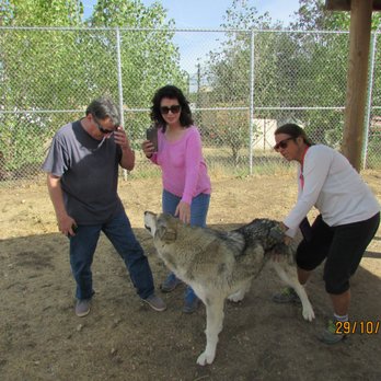 WHAR - Wolf - Our friends, Steve and Colleen, with Kristi and Shiloh - Animal Shelters Near Me - Paso Robles, California