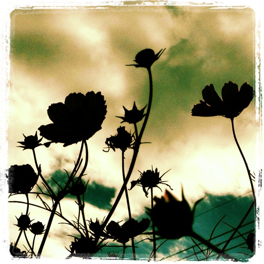 TOP 10 BEST Home & Garden near Taiwan - Updated 2026 - Yelp