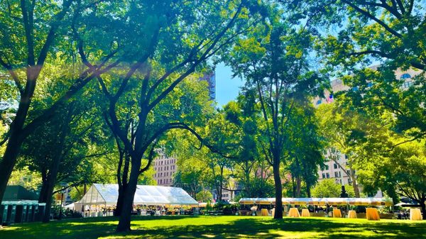 Madison Square Park by null