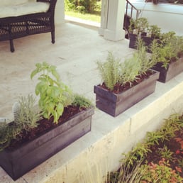 Herb boxes they helped me plant (the ones that they plant themselves look even better, but almost every herb I could want!) Herb boxes they helped me plant (the ones that they plant themselves look even better, but almost every herb I could want!)