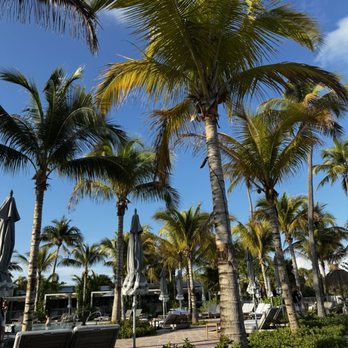 Islander Resort - Kids Pool (gradual walk into the pool, open to everyone) - Resorts Near Me - Islamorada, Florida
