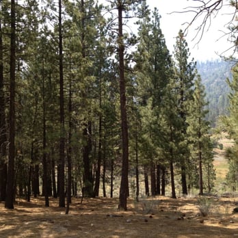 Heart Bar Campground - A valley outside the campground - Campgrounds Near Me - San Bernardino, California Heart Bar Campground - A valley outside the campground - Campgrounds Near Me - San Bernardino, California