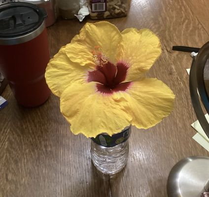 Nielsen's Delicatessen by null