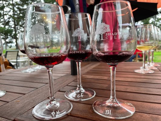 Shady Lane Cellars by null