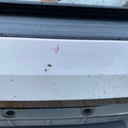 Elephant Car Wash - Post-wash bumper