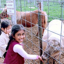 Macomb Children's Academy - Summer Camp - A trip to the Zoo