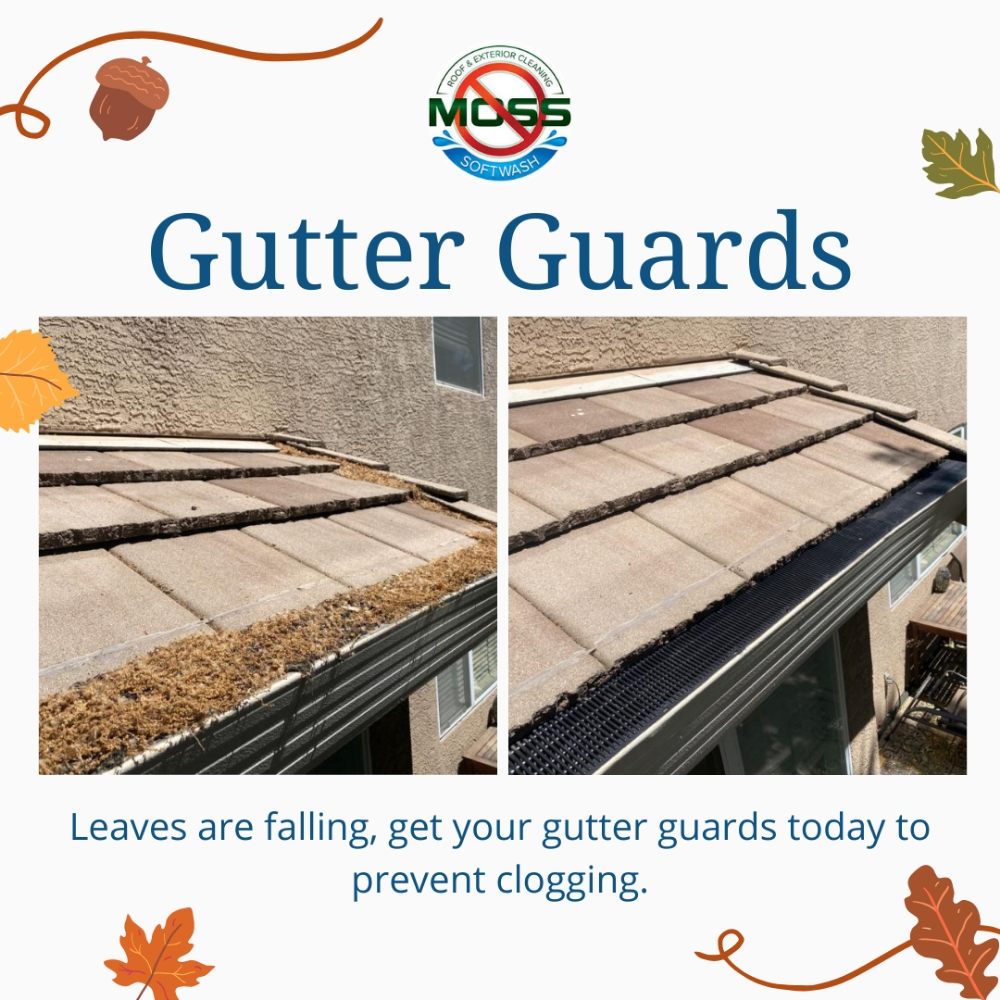 Slide of No Moss SoftWash