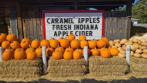 The Famous Tomato by null