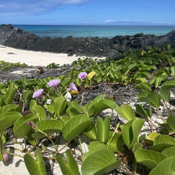 Makalawena Beach - Beaches Near Me - Kalaoa, Hawaii Makalawena Beach - Beaches Near Me - Kalaoa, Hawaii