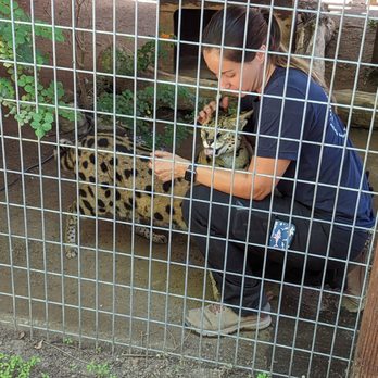 Wildlife Learning Center - Zoos Near Me - Sylmar, California
