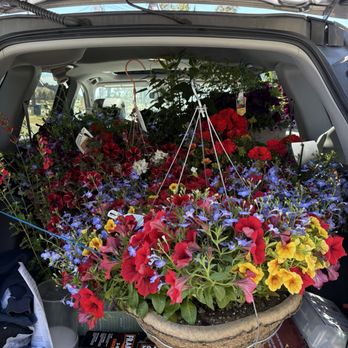 Madras Garden Depot - My poor little Honda car. I needed a pick up! - Nurseries & Gardening Near Me - Madras, Oregon Madras Garden Depot - My poor little Honda car. I needed a pick up! - Nurseries & Gardening Near Me - Madras, Oregon