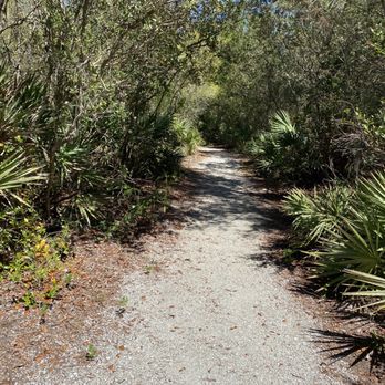 Black Hammock Wilderness Area and Trail - Parks Near Me - Oviedo, Florida Black Hammock Wilderness Area and Trail - Parks Near Me - Oviedo, Florida