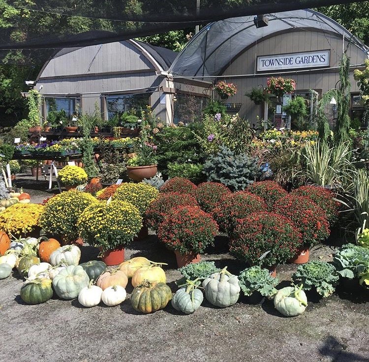 TOWNSIDE GARDENS Updated August 2024 28 Photos 3614 Franklin Rd